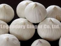 Sell garlic