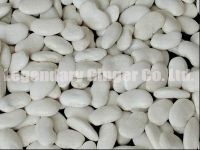 Sell White Kidney Beans Flat Shape