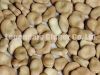 Sell broad bean (fresh or frozen)