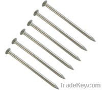 Sell Galvanized common nails