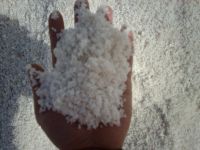 Sell marine salt very high quality