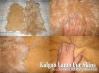 Sell Double-face Kalgan Lamb Fur Skins