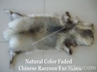 Sell Color Faded Chinese Raccoon Fur Skins