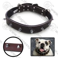 Sell luxury genuine leather collar