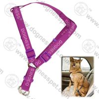 Sell high class PET recycled dog harness