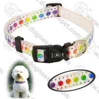 Sell fancy PVC Collar