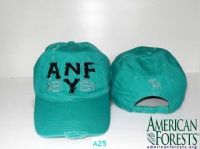 Hats(green color and latest)