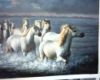 Sell Hand Made Animal Oil Painting