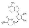 Sell S-Adenosyl-L-methionine(SAMe)
