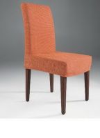 Imitated Wood Chairs 