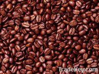 Export Coffee Beans Varieties