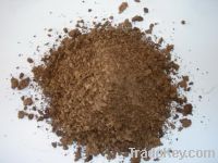 Peat Moss Sphaganum