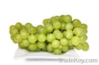 Fresh Grape fruits