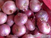 Fresh red and white Onion