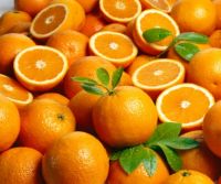 Fresh Citrus Fruit