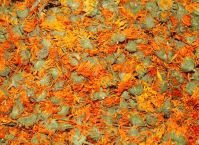 marigold(selling of dried cultivated chemical free plant material)