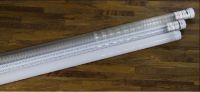 Sell LED T8 Fluorescent Lamp