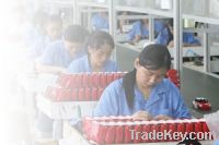 Sell Factory Audit Service