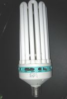 Sell High Quality 8U Energy Saving Lamp