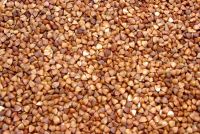 Sell Roasted buckwheat kernel