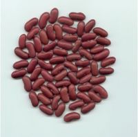 Sell Dark red kidney bean