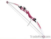 Sell hunting compound bow C11 for juniors
