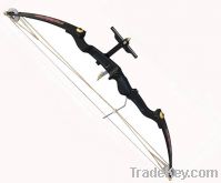 Sell compound hunting bow C50