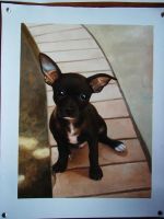 Sell Animal Oil Painting (3)