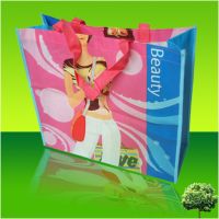 Laminated non woven shopping bag