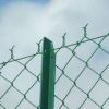 Sell PVC Coated Chain Link Fence