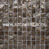 Sell shel mosaic tile (MS053)