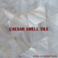 Natural Mother of Pearl shell mosaic tile/ River shell tile / MS027