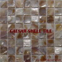 green product/natural MOP shell mosaic tile/ river shell tile/MS050