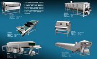 Sell canned fruit production line