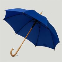 Sell wooden umbrella