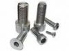 Hexagon socket bolt