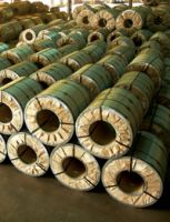 Sell stainless steel cold rolled , hot rolled coils