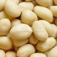 Blanched Peanut Kernel