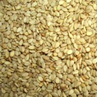 Natural White Sesame Seeds