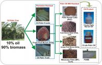 Palm oil mill effluent