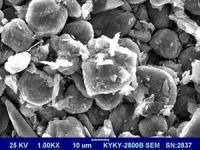 Sell Graphite MCMB powder(mesocarbon microbead) for LiFePO4 battery