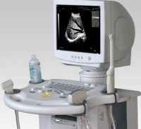 Sell Digital Ultrasound Scanner DUS 8