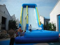 Sell Inflatable Water Slide With Pool