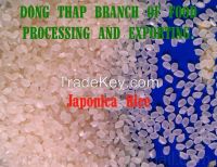 Japonica Rice