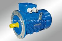 IE1 Standard Efficiency Three Phase Induction Motors