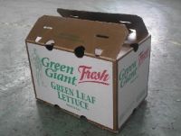 SELL CORRUGATED CARTON WITH WAX