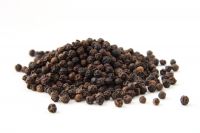 High Quality Black Pepper with best price