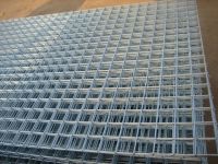 Sell Welded Wire Mesh