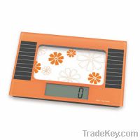 Solar digital electronic kitchen scales 5kg 11lb glass accurate