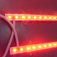 Sell Waterproof LED Strip , led strip light, bright led